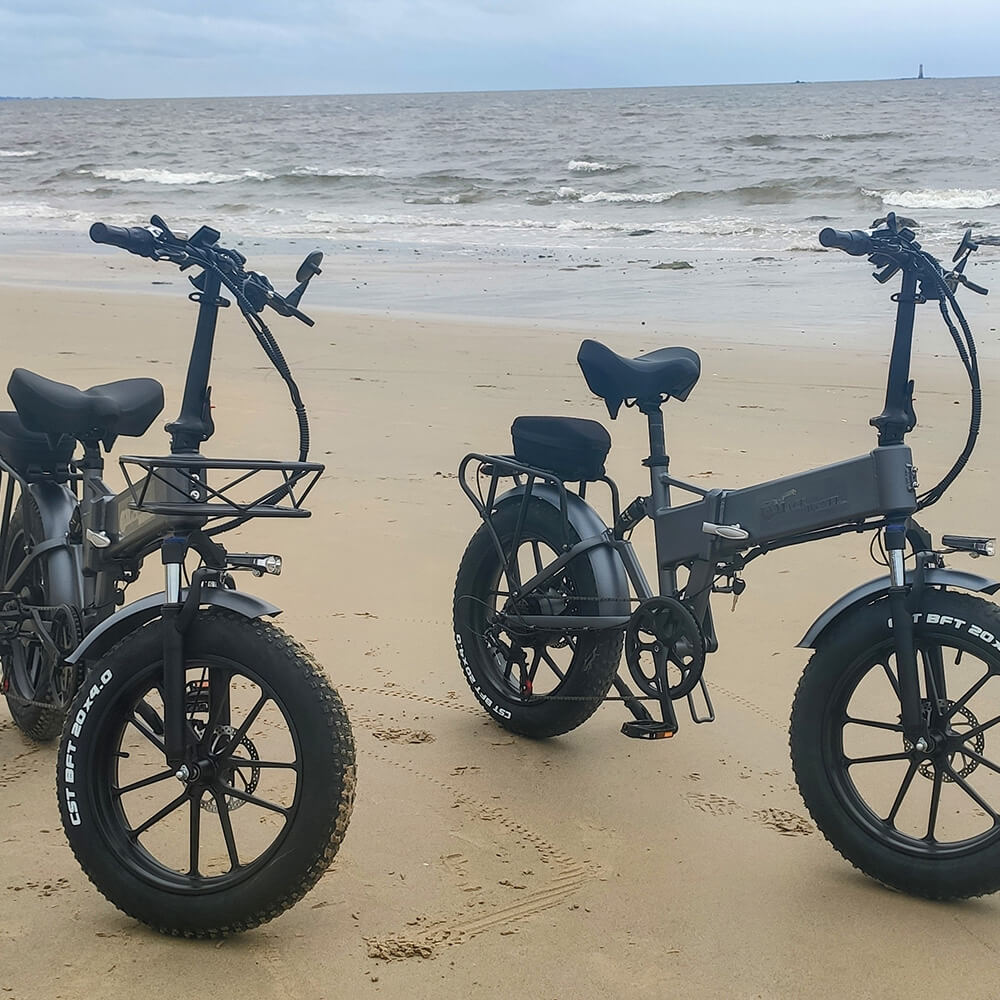 Trekbike RX20 Version 2024 17A 18Ah 20Ah Plus |Foldable Electric Bike
