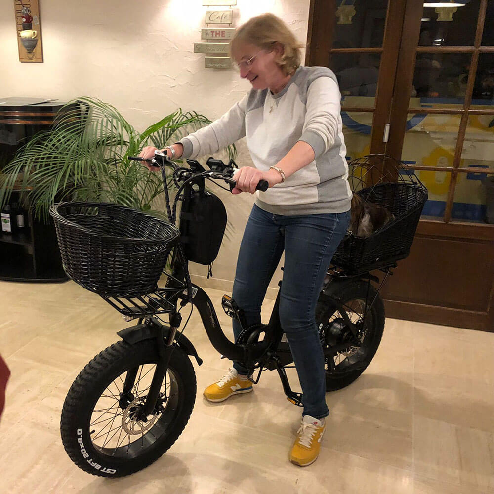 Trekbike Y20 Plus 20Ah Samsung Battery Support App|Step Through Fat Tire Ebike City Folding Electric Bike