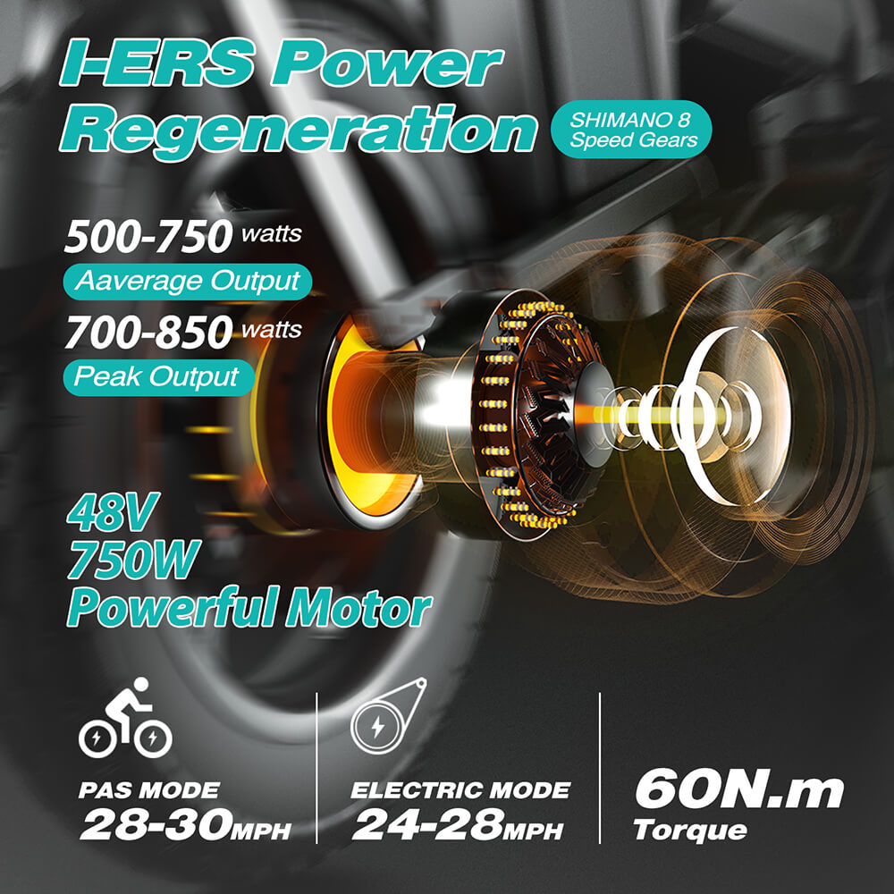 Trekbike ENGWE Engine Pro 2.0 Full Suspension Folding Ebike Hydraulic Oil Brake Electric Bicycle 52V 16A