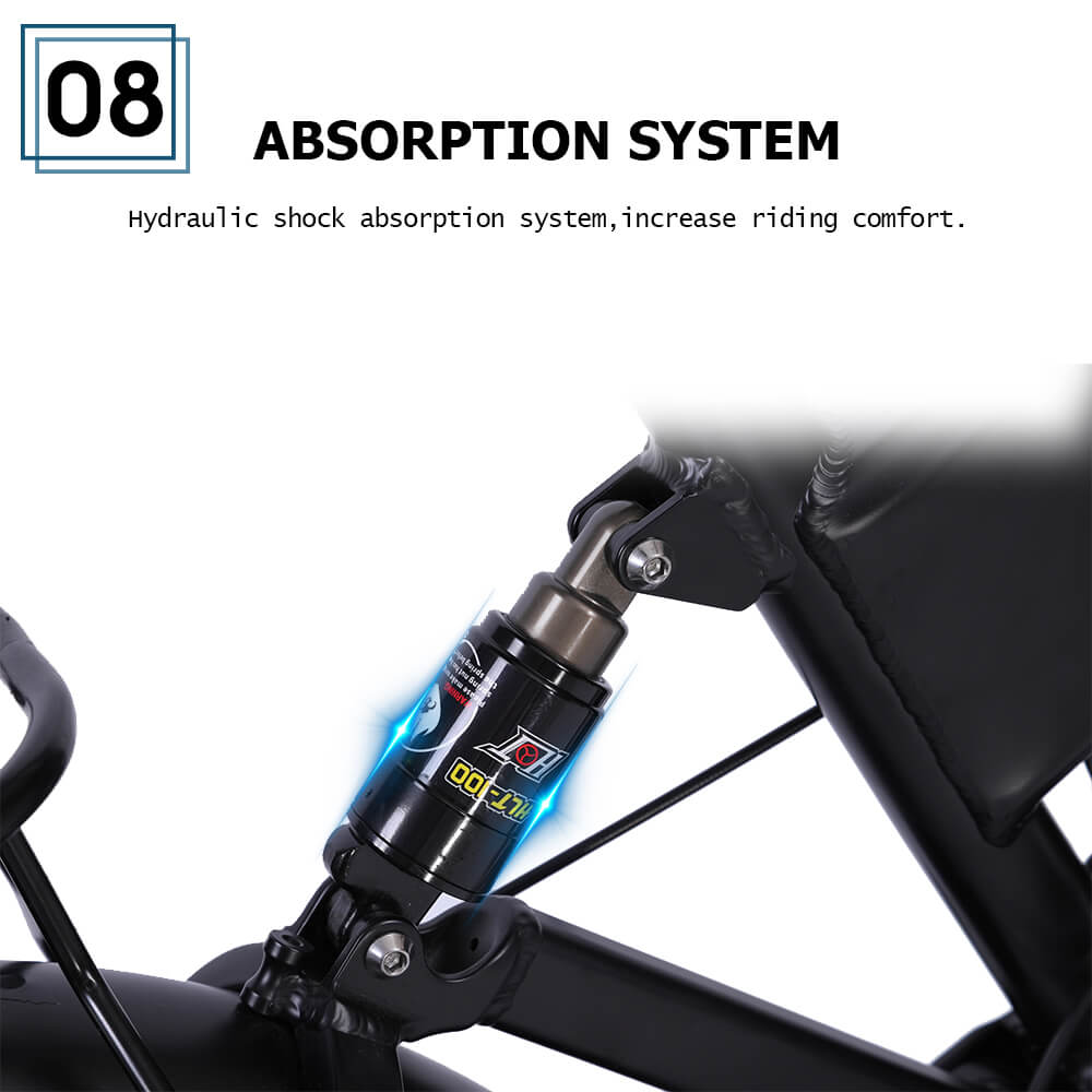 Trekbike RX20 Version 2024 17A 18Ah 20Ah Plus |Foldable Electric Bike