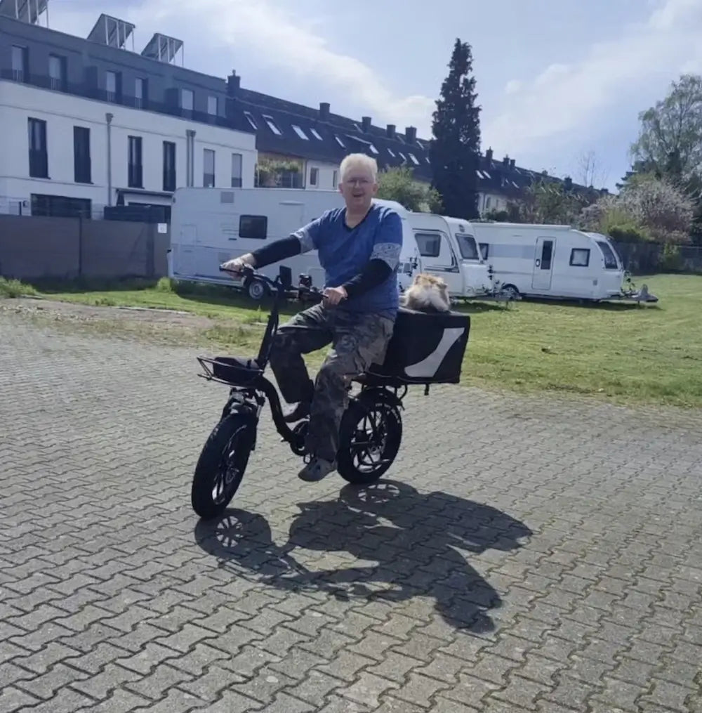 Trekbike Y20 Plus 20Ah Samsung Battery Support App|Step Through Fat Tire Ebike City Folding Electric Bike