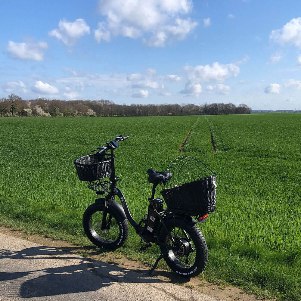 Trekbike Y20 Plus 20Ah Samsung Battery Support App|Step Through Fat Tire Ebike City Folding Electric Bike