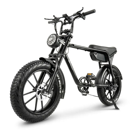 Trekbike K20 17Ah|Electric Bike Adventure E Bicycle