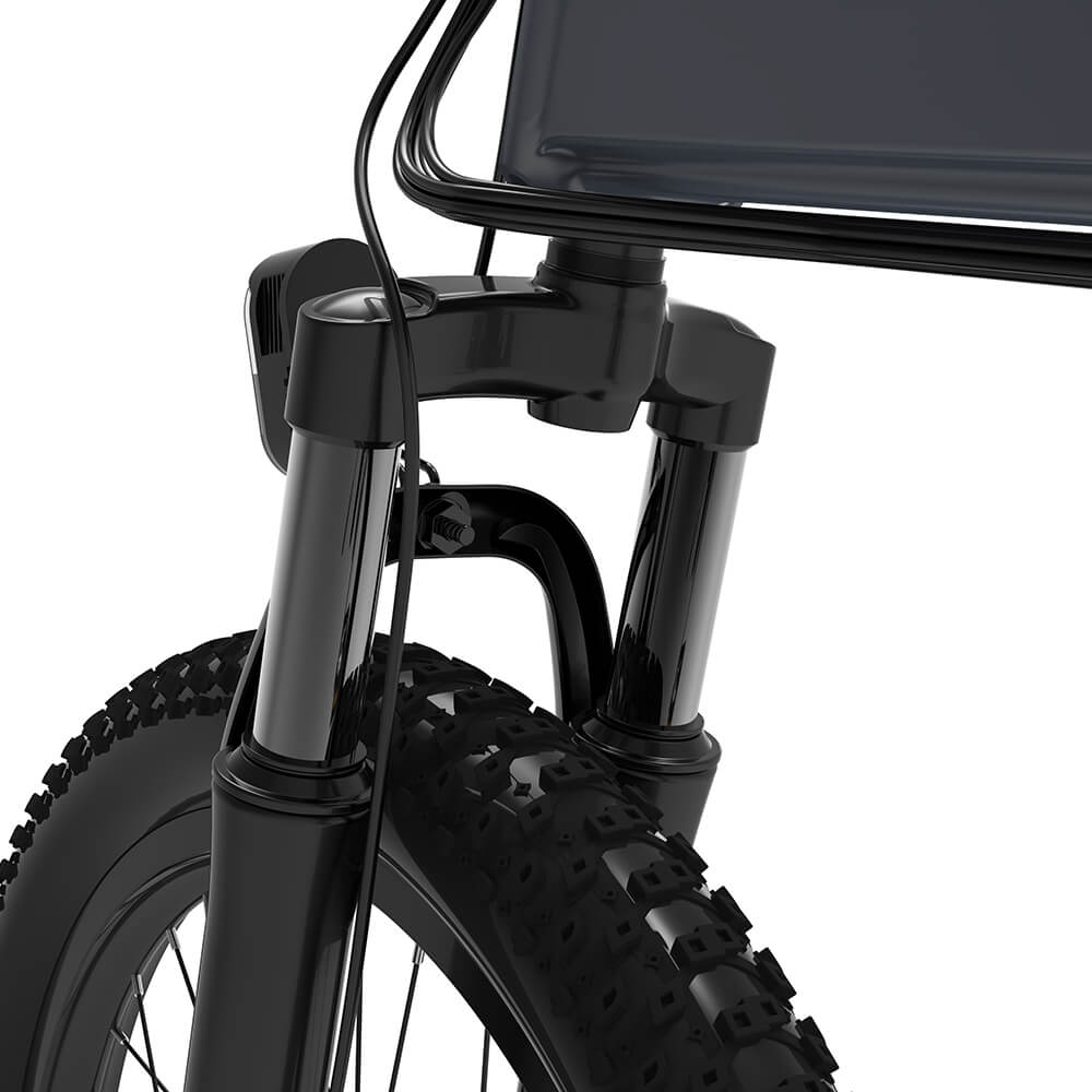 ENGWE C20 Pro Long Distance Electric Bike 19.2A battery 250W Bafang Motor