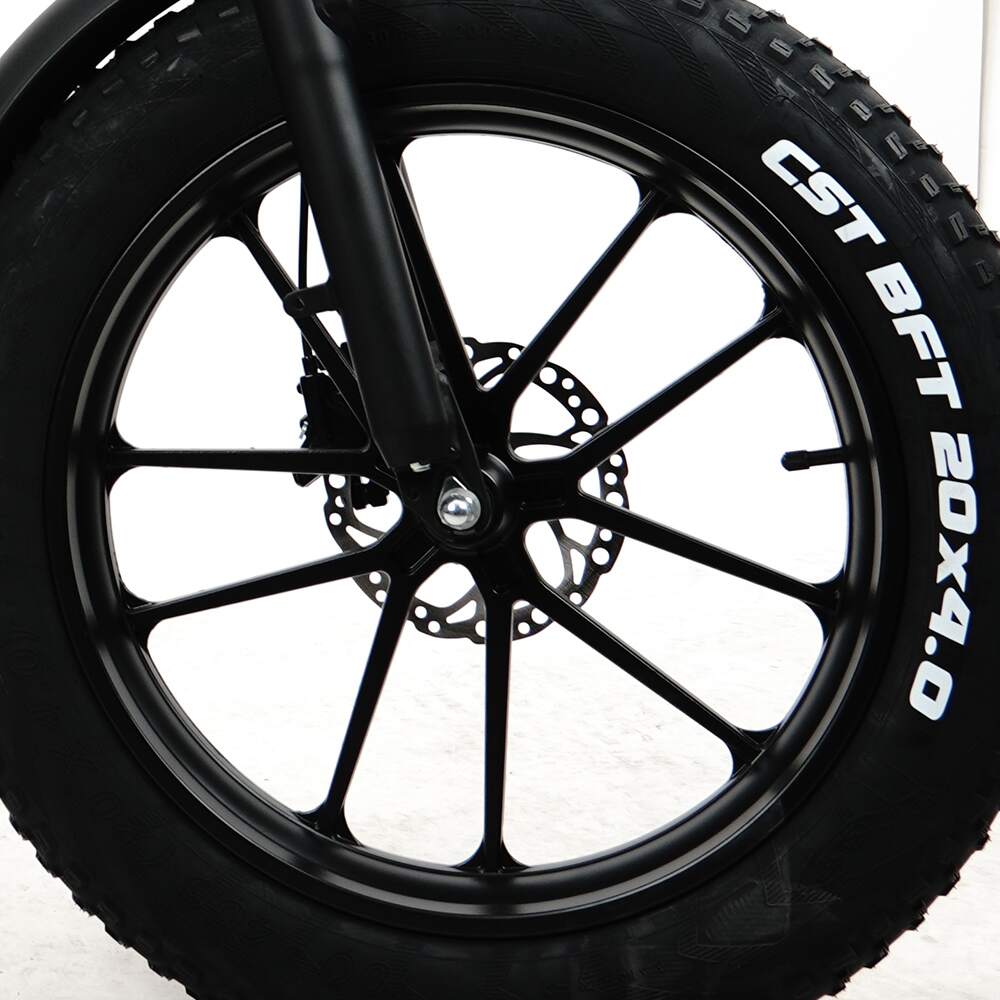 Trekbike GW20 Plus|Hydraulic Oil Brakes Fat Tire Electric Bike