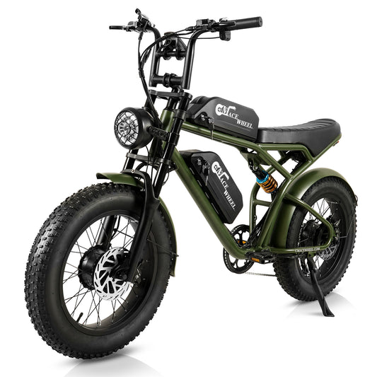 | Trekbike Q20 Max | Fat Tire 40Ah Dual Motor Dual Battery Ebike For Long Distance Electric Bike