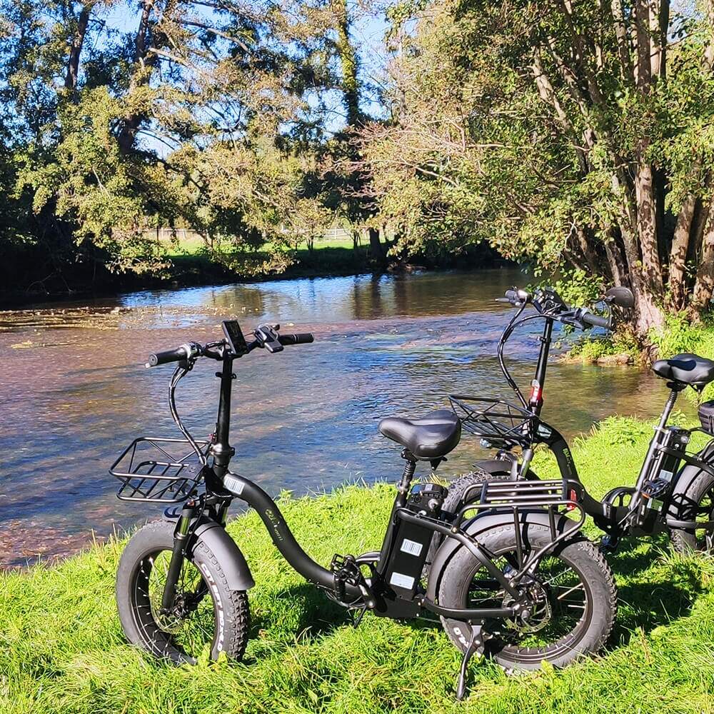 Trekbike Y20 Plus 20Ah Samsung Battery Support App|Step Through Fat Tire Ebike City Folding Electric Bike